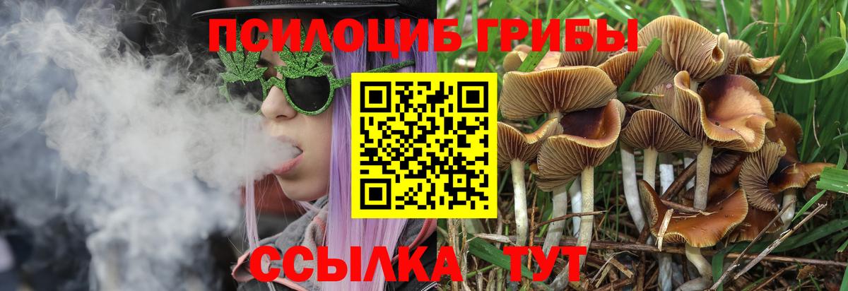 Псилоцибиновые грибы мухоморы  Вход с VPN  Псилоцибиновые грибы MAGIC MUSHROOMS  Коммунар 